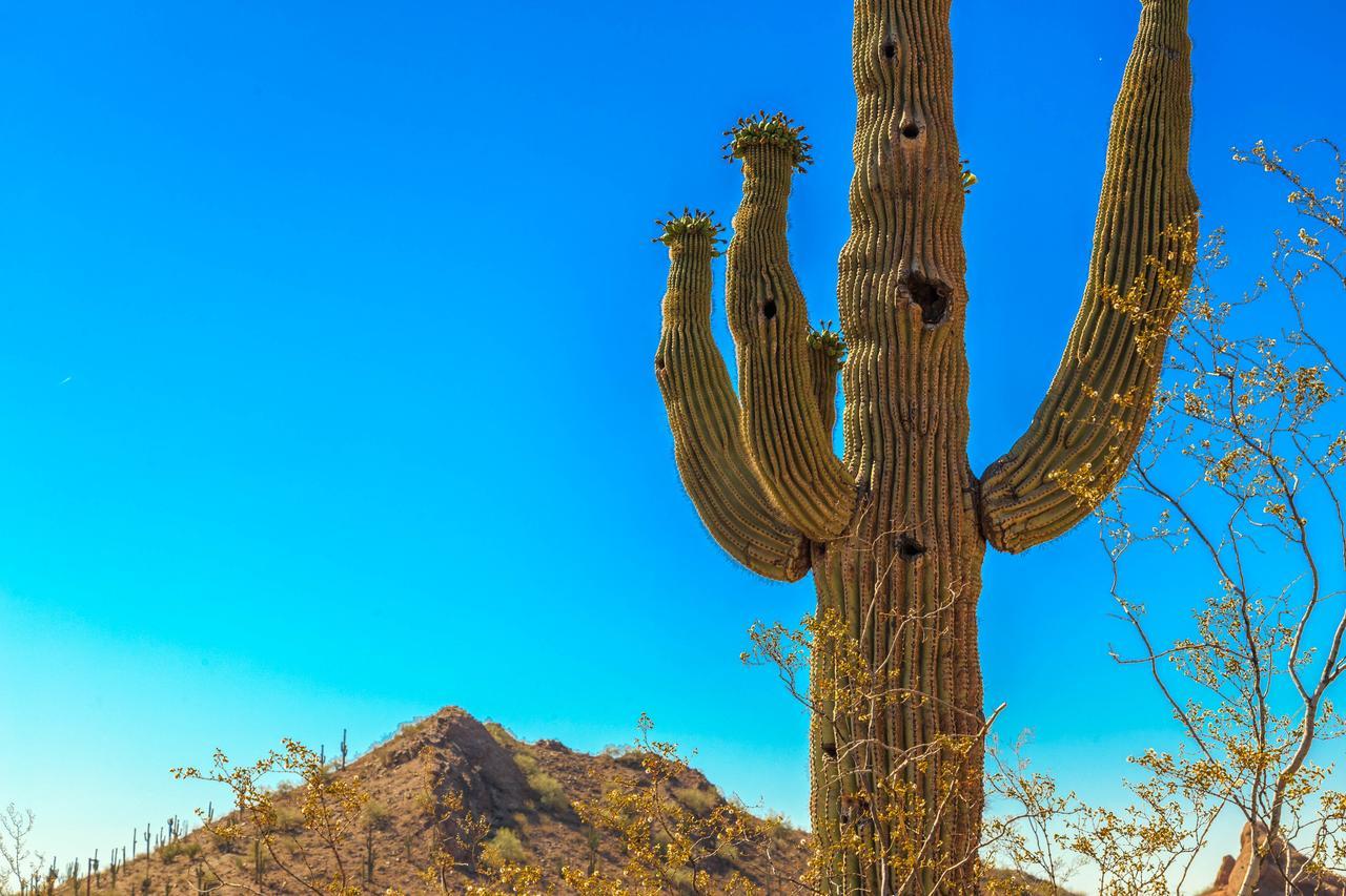 Esplendora Appartement Tucson Buitenkant foto